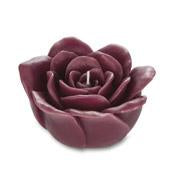 Load image into Gallery viewer, Cranberry Rose Candle
