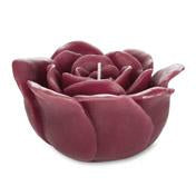 Load image into Gallery viewer, Cranberry Rose Candle
