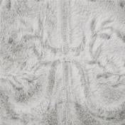 Load image into Gallery viewer, Abby Embroidered Faux Fur Throw
