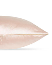 Load image into Gallery viewer, Hummingbird Embellished Blush Cushion
