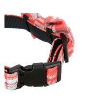 Load image into Gallery viewer, Dogs on Parade Large Dog Collar
