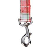 Load image into Gallery viewer, Dogs on Parade Dog Leash
