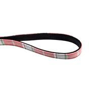 Load image into Gallery viewer, Dogs on Parade Dog Leash
