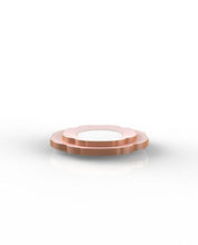 Load image into Gallery viewer, Blush Gold Flower 56pc Party Set (Setting for 8)
