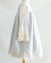 Load image into Gallery viewer, Blue/Ivory Embroidered Overlay Toddler Dress
